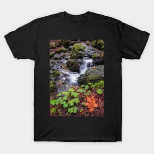 Winter at the Falls T-Shirt